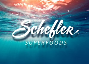 Criar logomarca online