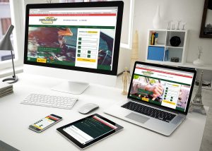 Criação de site para evento automobilístico