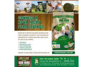 Criação de e-mail marketing