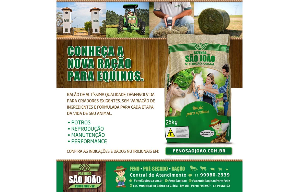 Criação de e-mail marketing