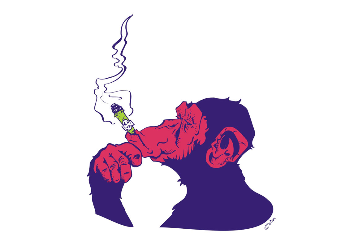 ilustração para estampas